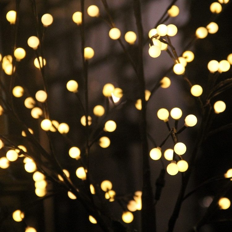 Tree Services in West Palm Beach FL & Surrounding Areas