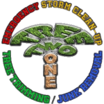 Tree Services in West Palm Beach FL & Surrounding Areas